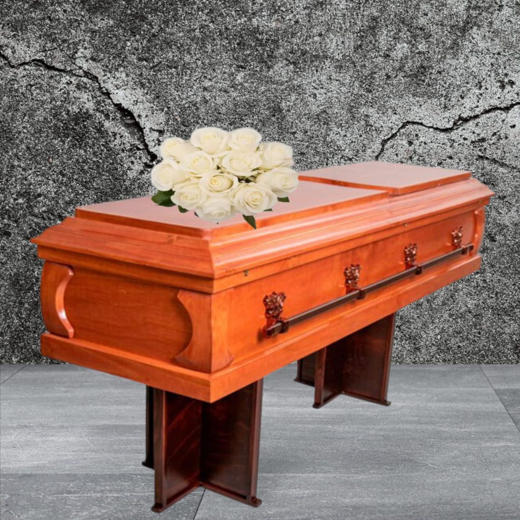 WhatsApp Image 2025-11-06 at 18.57.09