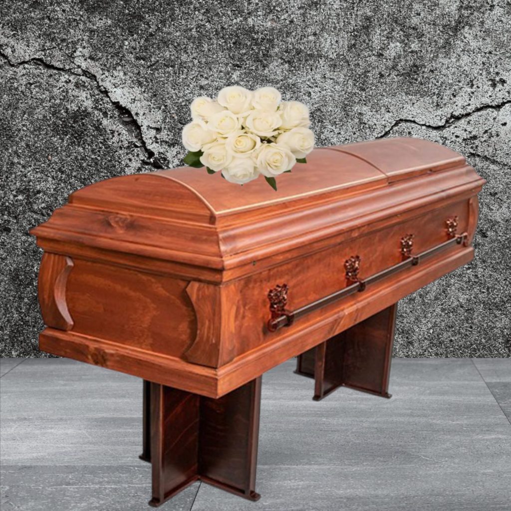 WhatsApp Image 2025-11-06 at 18.57.36