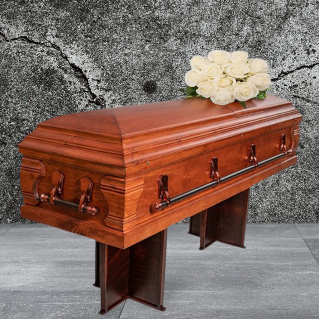 WhatsApp Image 2025-11-06 at 18.58.07